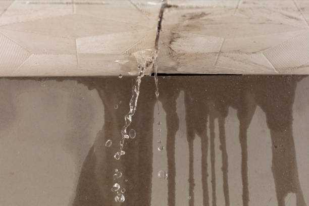 Professional Water Damage Repair technician working in Ortonville, MI